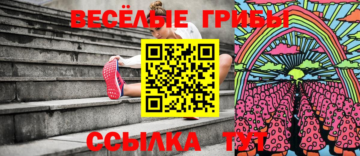 Псилоцибиновые грибы MAGIC MUSHROOMS  цена наркотик  Топки  Вход с VPN 