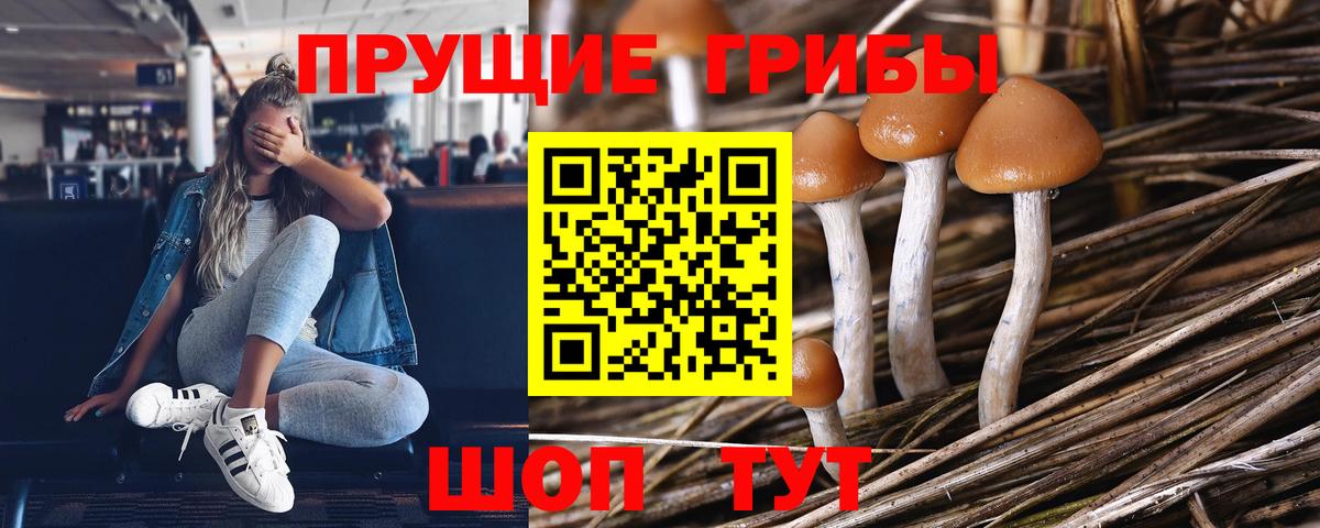 Псилоцибиновые грибы Psilocybine cubensis Топки